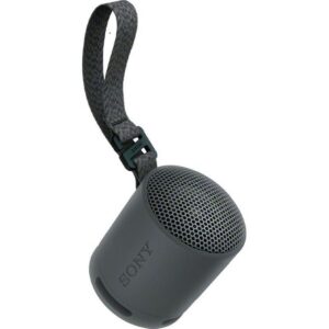 Sony Portable Speaker Bluetooth Black
